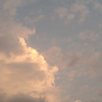 what you need to know