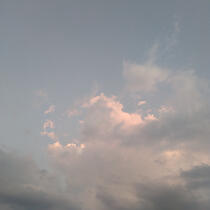 what you need to know